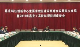 嘉定新闻爆料事件,揭秘背后真相与影响